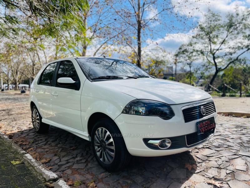 PALIO 1.4 MPI ELX 8V FLEX 4P MANUAL - 2010 - NOVO HAMBURGO