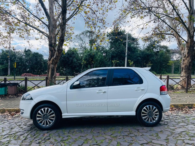 PALIO 1.4 MPI ELX 8V FLEX 4P MANUAL - 2010 - NOVO HAMBURGO