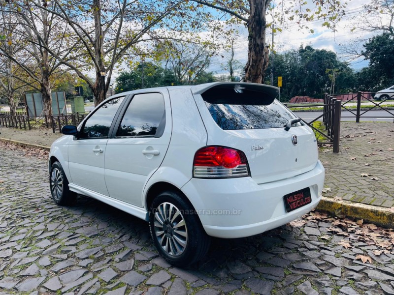 PALIO 1.4 MPI ELX 8V FLEX 4P MANUAL - 2010 - NOVO HAMBURGO