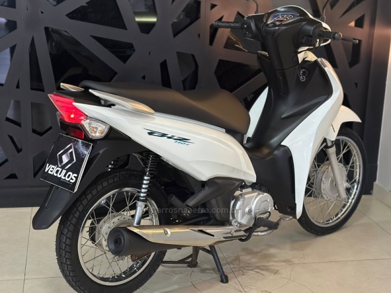 BIZ 110I  - 2019 - ENCANTADO