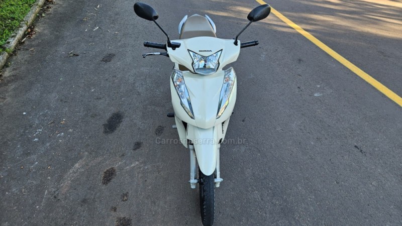BIZ 125 + - 2019 - IVOTI