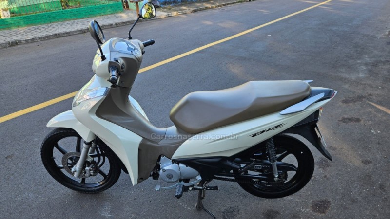BIZ 125 + - 2019 - IVOTI