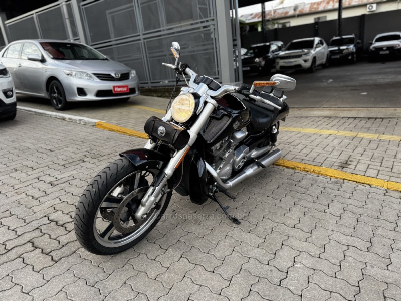 V-ROD MUSCLE  - 2013 - FELIZ
