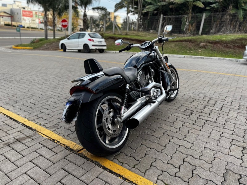 V-ROD MUSCLE  - 2013 - FELIZ