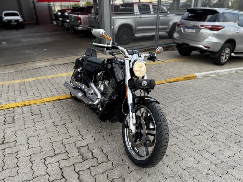 V-ROD MUSCLE  - 2013 - FELIZ