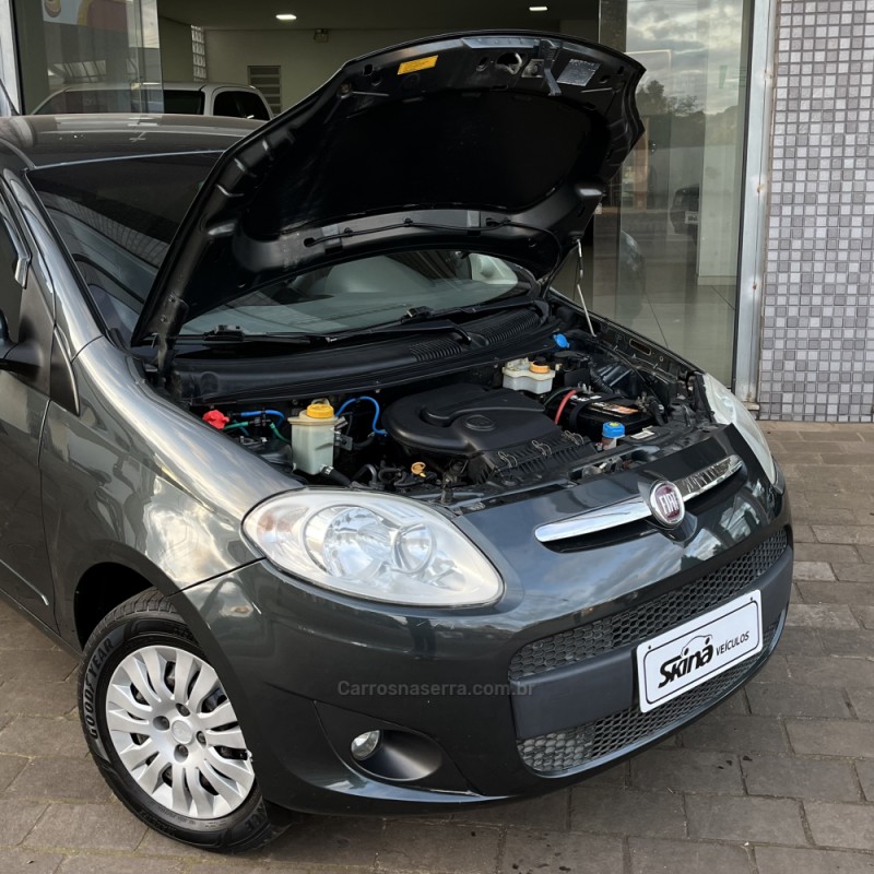 PALIO 1.0 MPI ATTRACTIVE 8V FLEX 4P MANUAL - 2013 - VACARIA