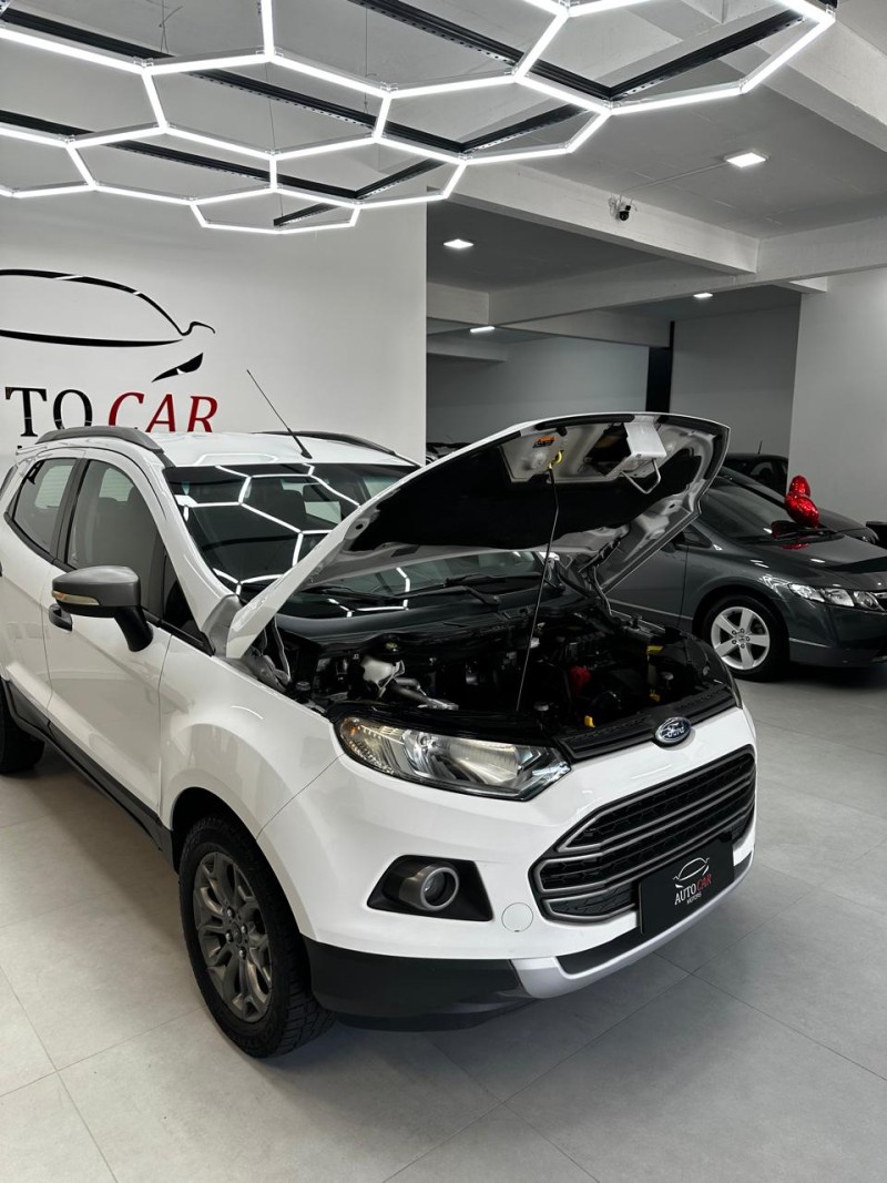 ECOSPORT 1.6 FREESTYLE 8V FLEX 4P MANUAL - 2013 - CAXIAS DO SUL