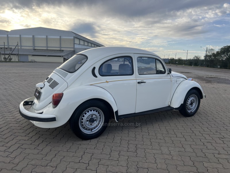FUSCA 1.6 8V GASOLINA 2P MANUAL - 1994 - ANTôNIO PRADO