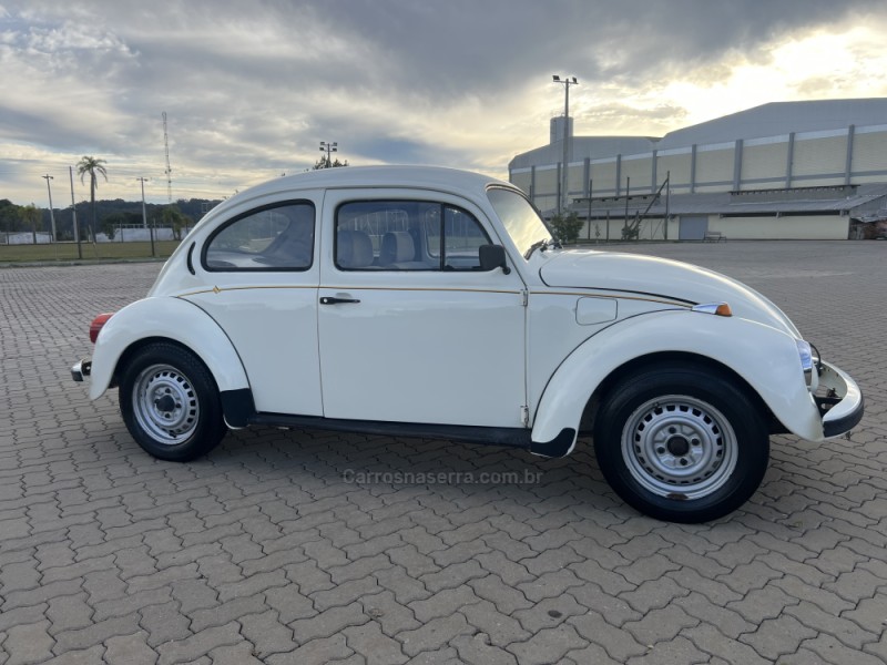 FUSCA 1.6 8V GASOLINA 2P MANUAL - 1994 - ANTôNIO PRADO