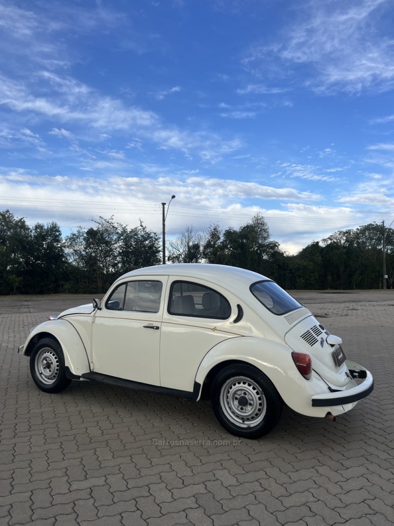 FUSCA 1.6 8V GASOLINA 2P MANUAL - 1994 - ANTôNIO PRADO