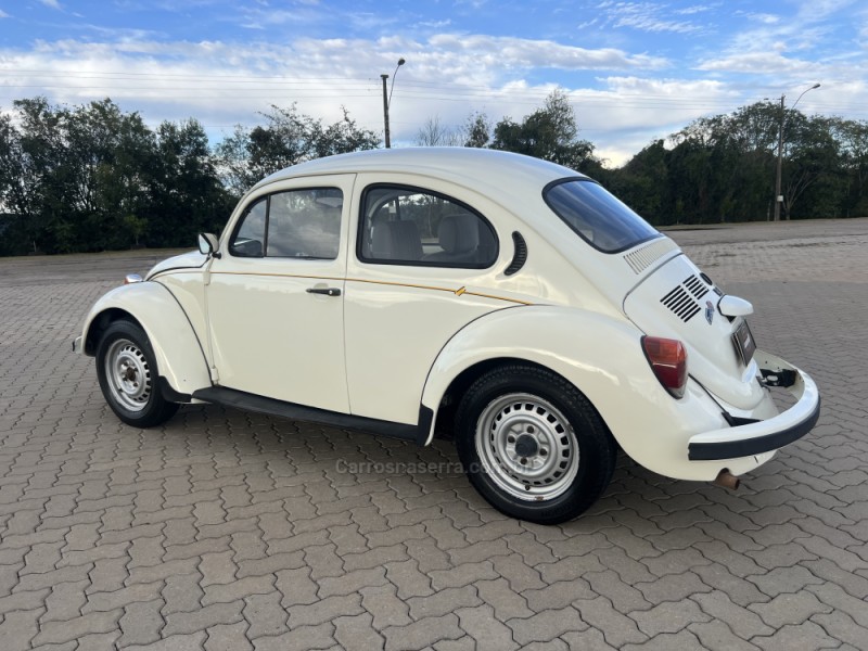FUSCA 1.6 8V GASOLINA 2P MANUAL - 1994 - ANTôNIO PRADO