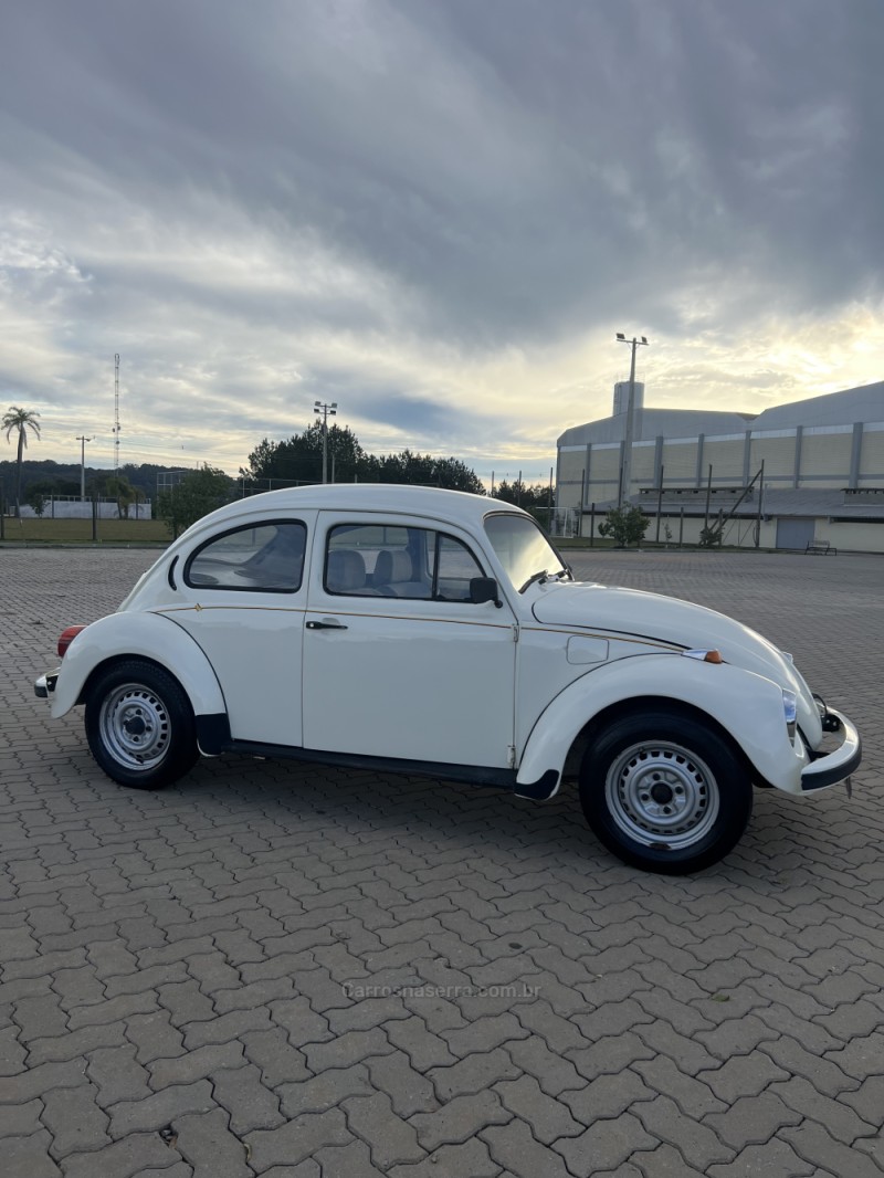 FUSCA 1.6 8V GASOLINA 2P MANUAL - 1994 - ANTôNIO PRADO