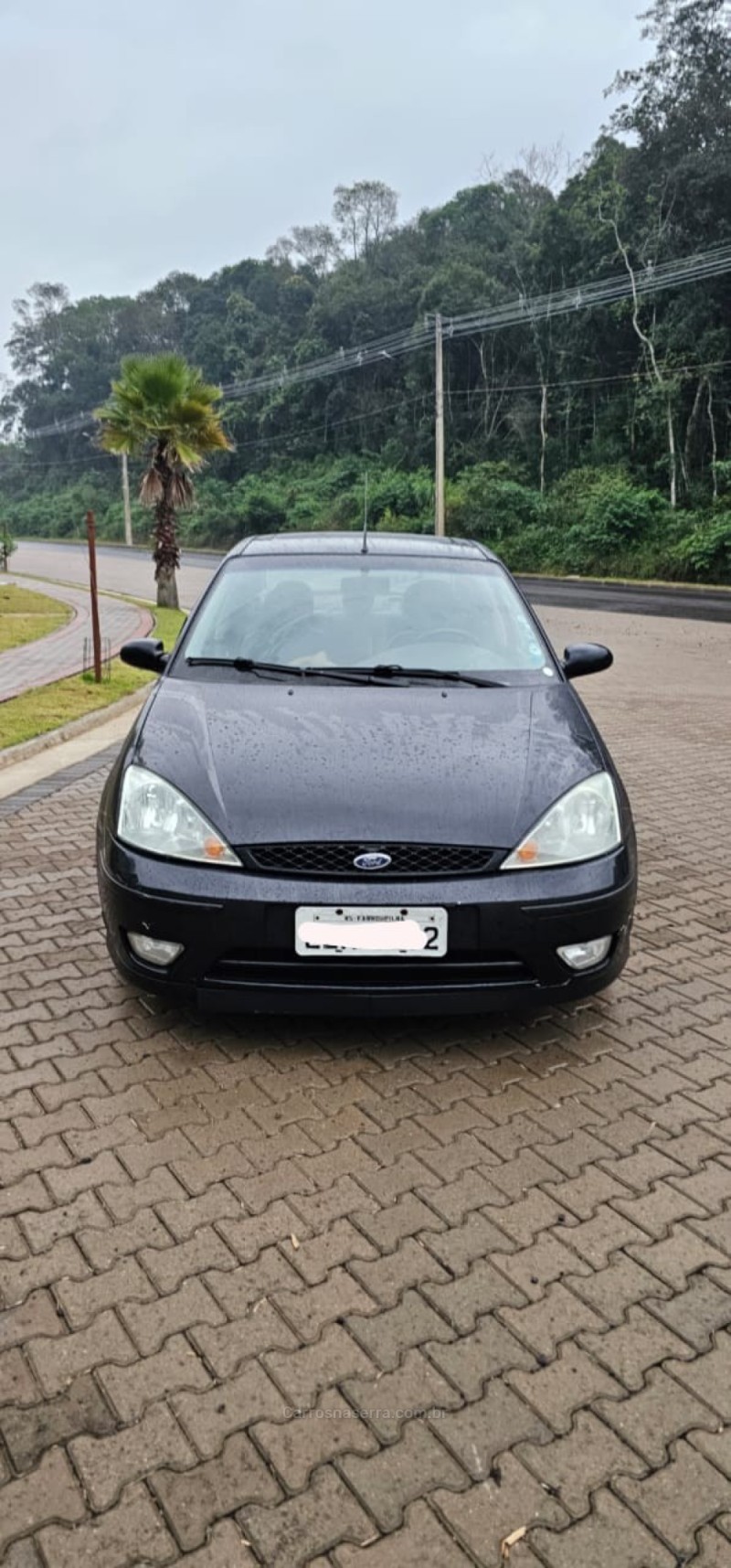FOCUS 2.0 GHIA 16V FLEX 4P AUTOMÁTICO - 2008 - IVOTI