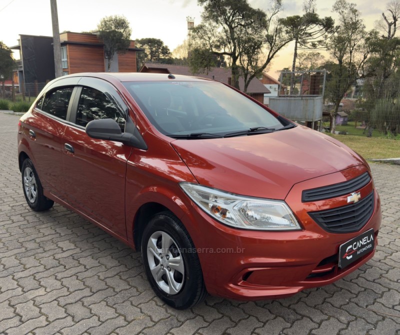 ONIX 1.0 MPFI LS 8V FLEX 4P MANUAL - 2013 - CANELA