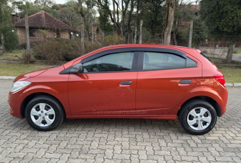 ONIX 1.0 MPFI LS 8V FLEX 4P MANUAL - 2013 - CANELA