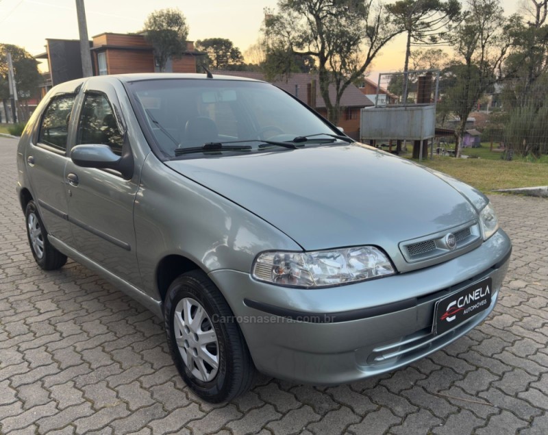 PALIO 1.0 MPI FIRE 8V FLEX 4P MANUAL - 2007 - CANELA
