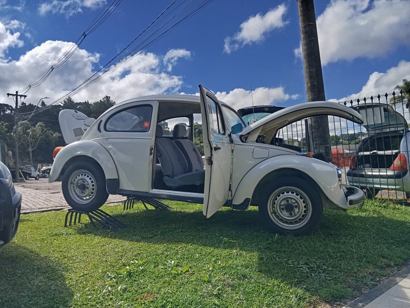 FUSCA 1.6 8V GASOLINA 2P MANUAL - 1994 - CAXIAS DO SUL