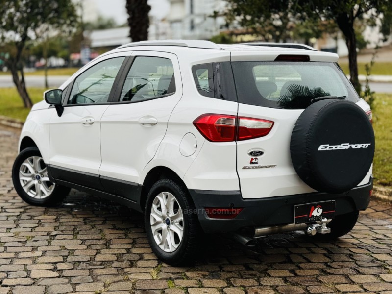 ECOSPORT 2.0 TITANIUM 16V FLEX 4P MANUAL - 2013 - CASCA