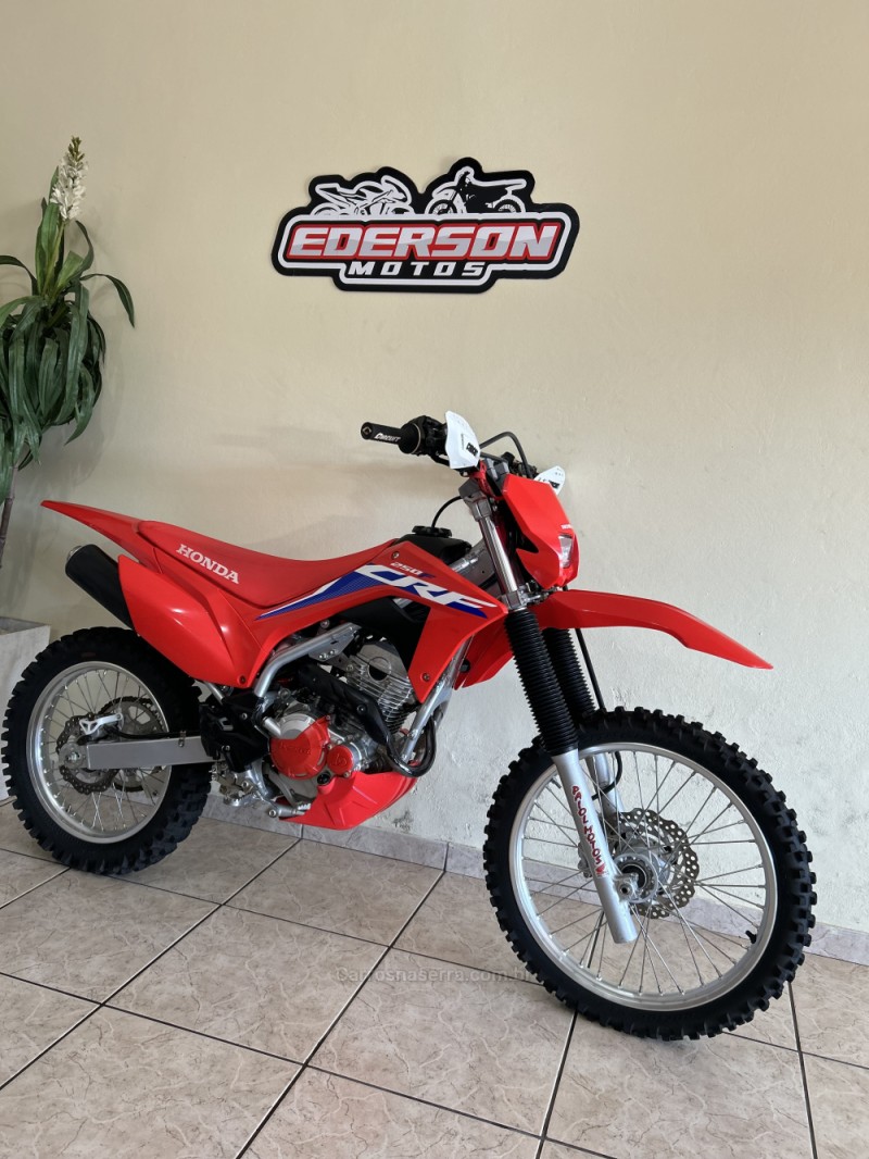 CRF 250F  - 2024 - CAXIAS DO SUL