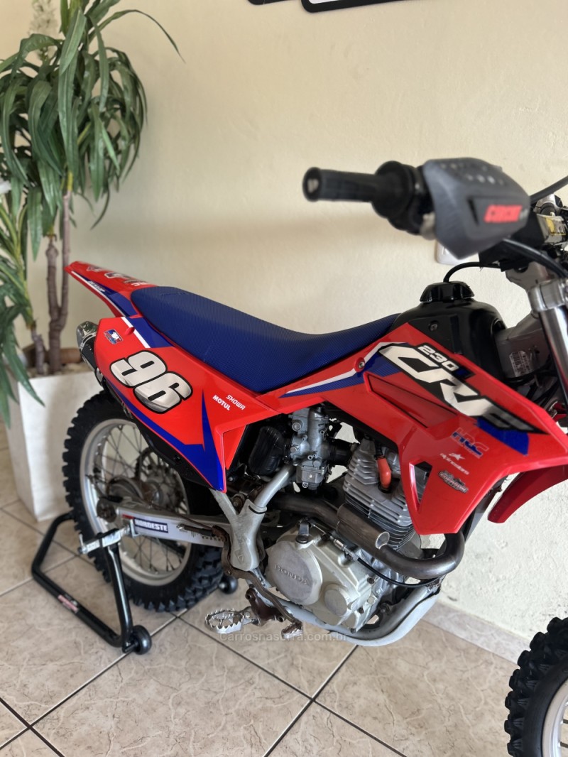 CRF 230F  - 2020 - CAXIAS DO SUL