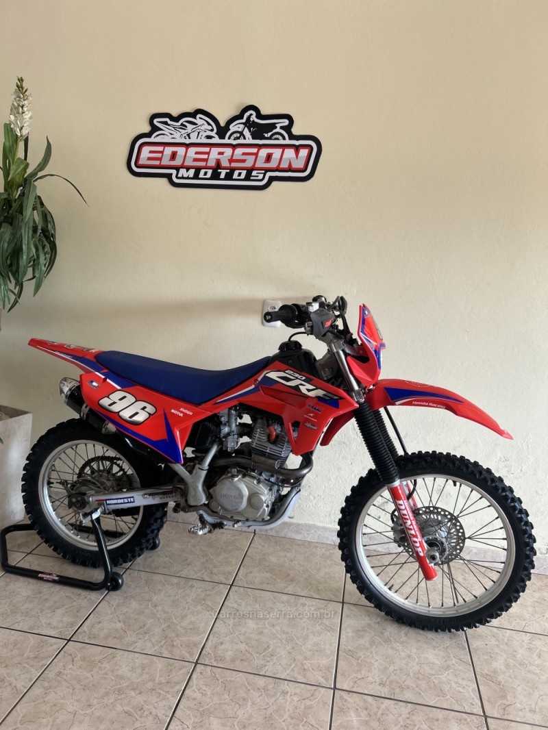 CRF 230F  - 2020 - CAXIAS DO SUL