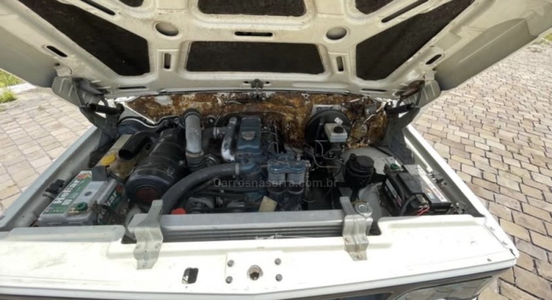 D20 4.0 CUSTOM DE LUXE CS 8V TURBO DIESEL 2P MANUAL - 1989 - VILA FLORES