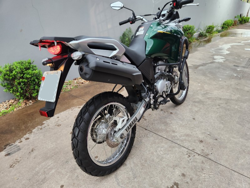 XTZ 250 TÉNÉRÉ BLUEFLEX - 2019 - MONTENEGRO
