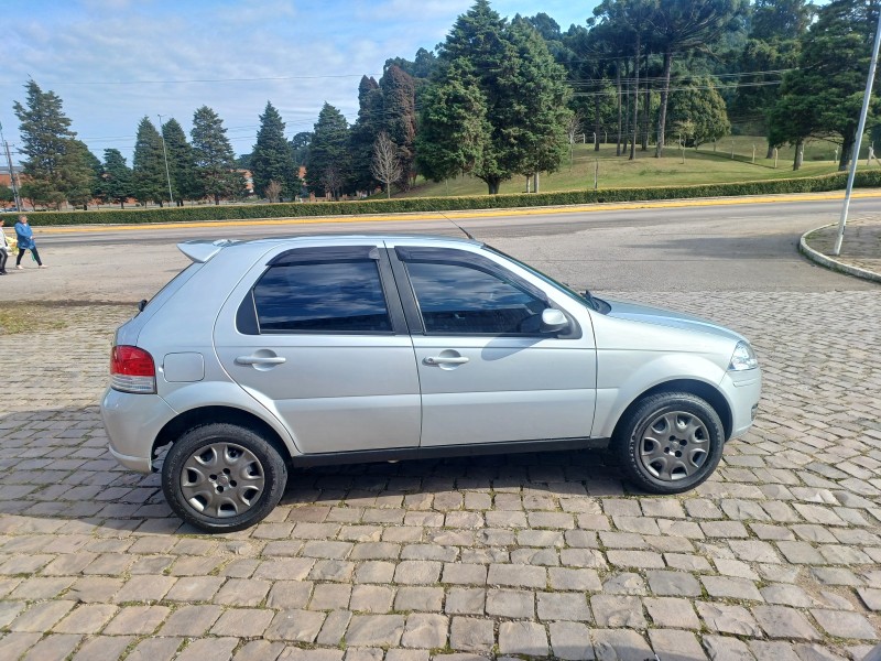 PALIO 1.4 MPI ELX 8V FLEX 4P MANUAL - 2010 - FLORES DA CUNHA