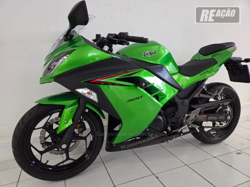 ninja 300 2024 caxias do sul