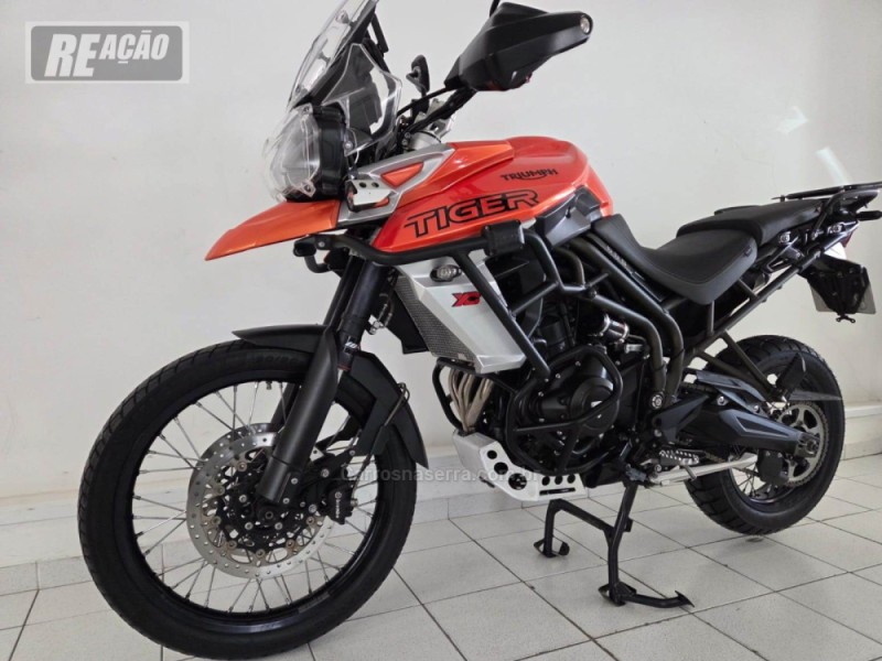 TIGER 800 XCA 