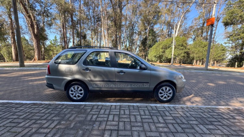 PALIO 1.4 MPI FIRE ELX WEEKEND 8V FLEX 4P MANUAL - 2006 - GUAPORé