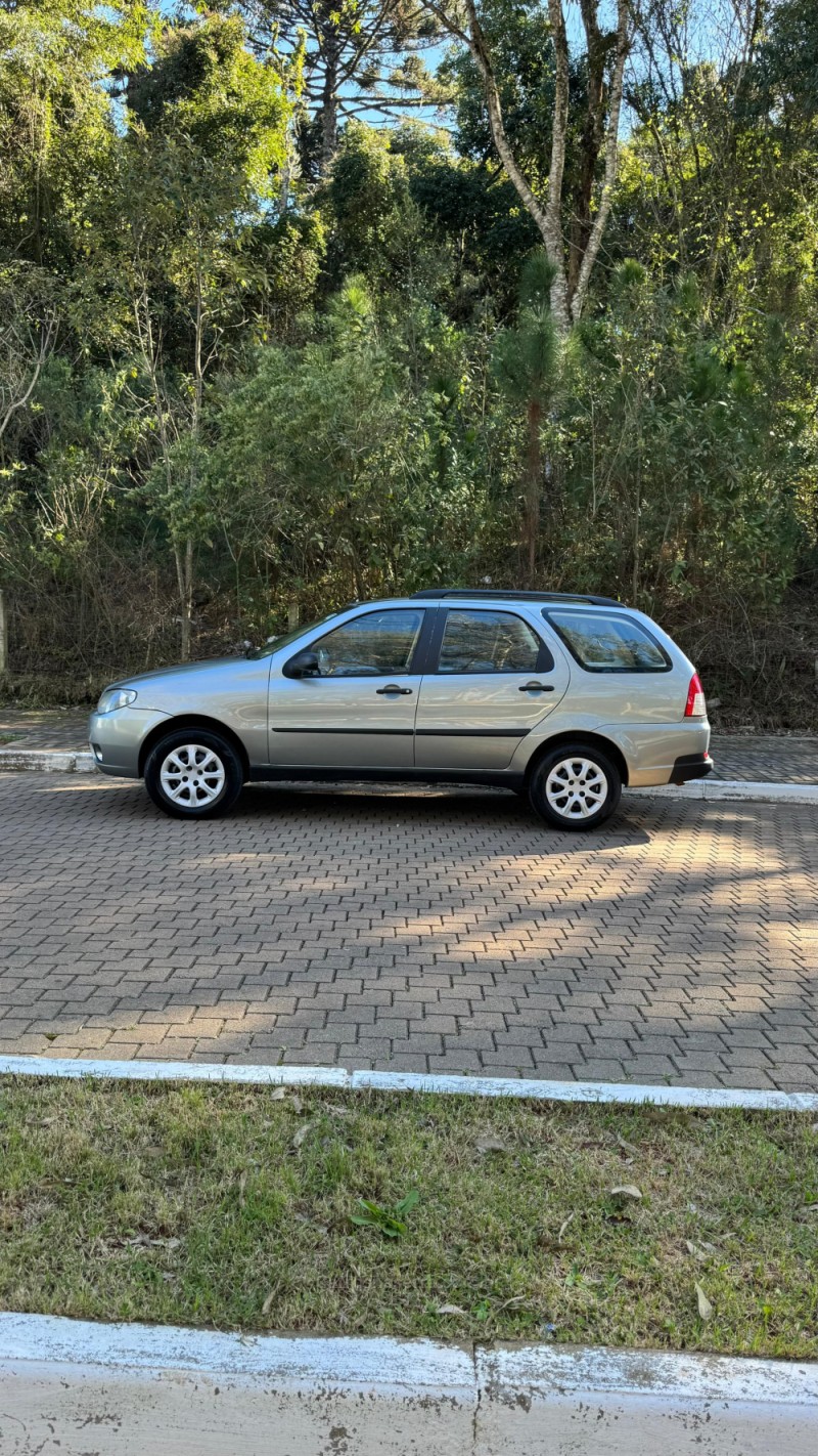 PALIO 1.4 MPI FIRE ELX WEEKEND 8V FLEX 4P MANUAL - 2006 - GUAPORé
