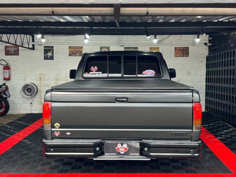 F-1000 4.9 I SUPER SÉRIE CS GASOLINA 2P MANUAL - 1996 - TEUTôNIA