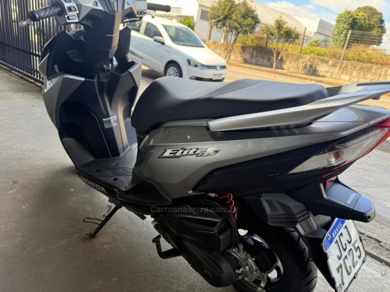 ELITE 125 - 2024 - VACARIA