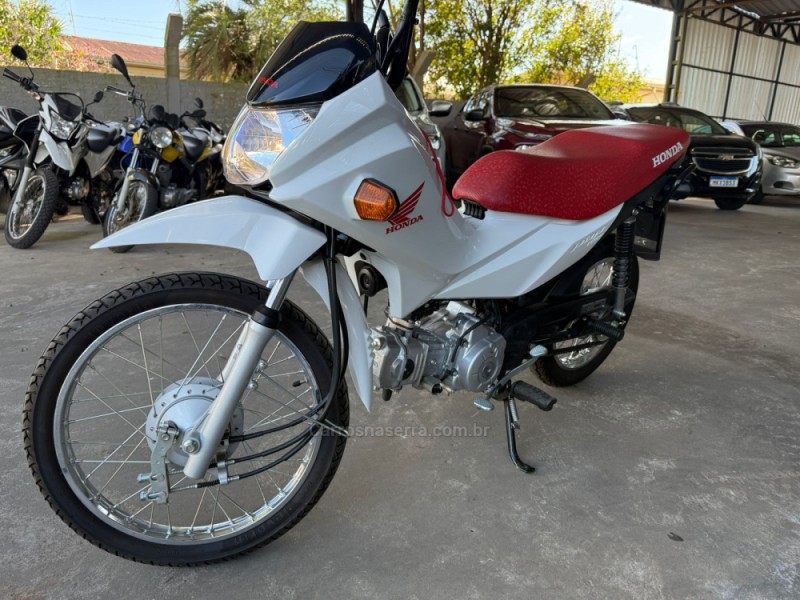 pop 110i 2024 vacaria