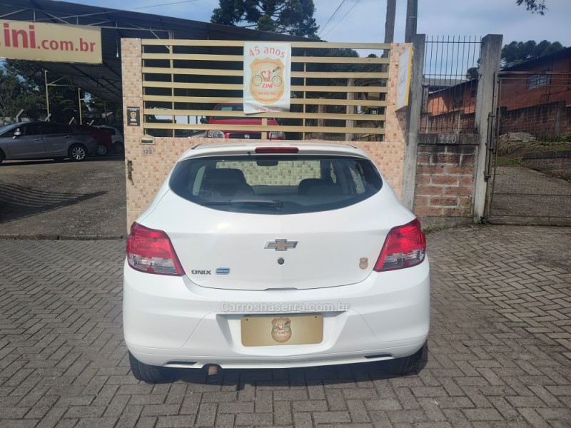 ONIX 1.0 JOY 8V FLEX 4P MANUAL - 2018 - CANELA