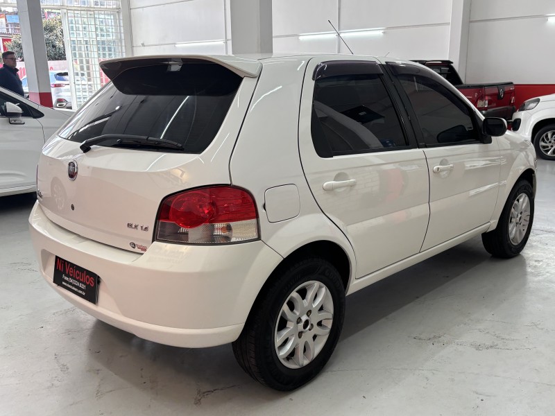 PALIO 1.4 MPI ELX 8V FLEX 4P MANUAL - 2010 - CAXIAS DO SUL