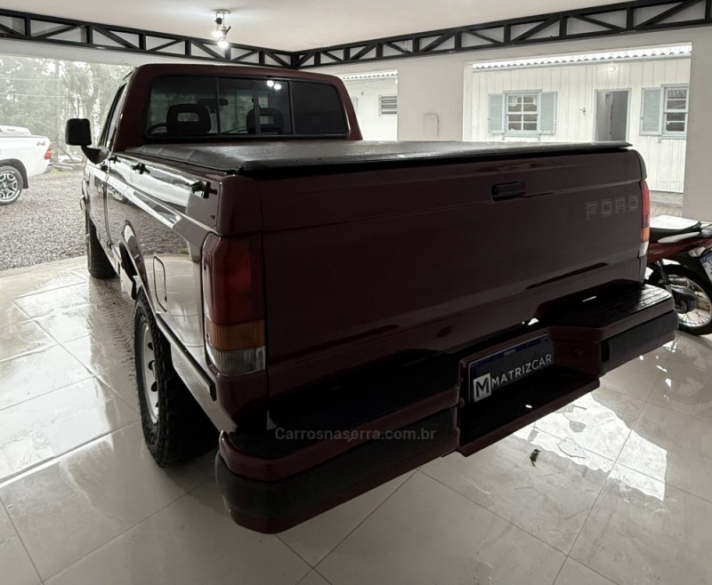 F-1000 4.3 XLT 4X4 CS TURBO DIESEL 2P MANUAL - 1997 - CANELA