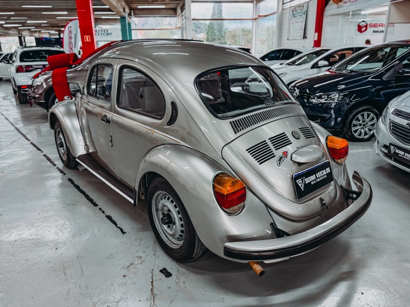 FUSCA 1.6 8V GASOLINA 2P MANUAL - 1994 - CAXIAS DO SUL