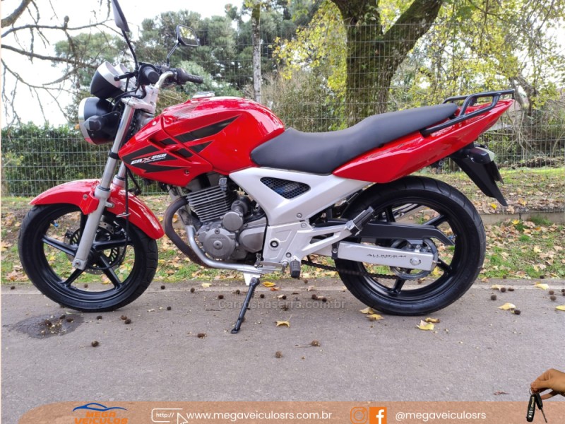 cbx 250 twister 2008 bento goncalves