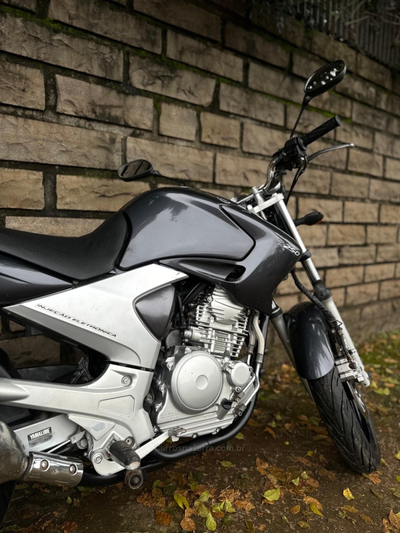 FAZER YS 250 - 2006 - LAJEADO