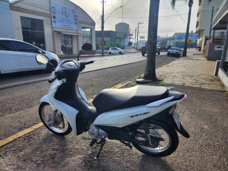 BIZ 110I  - 2019 - VACARIA