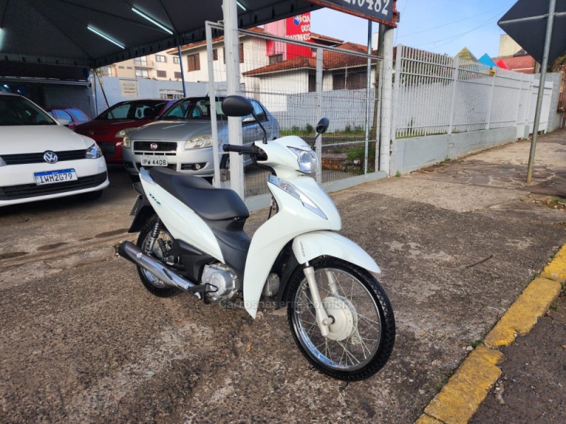 BIZ 110I  - 2019 - VACARIA
