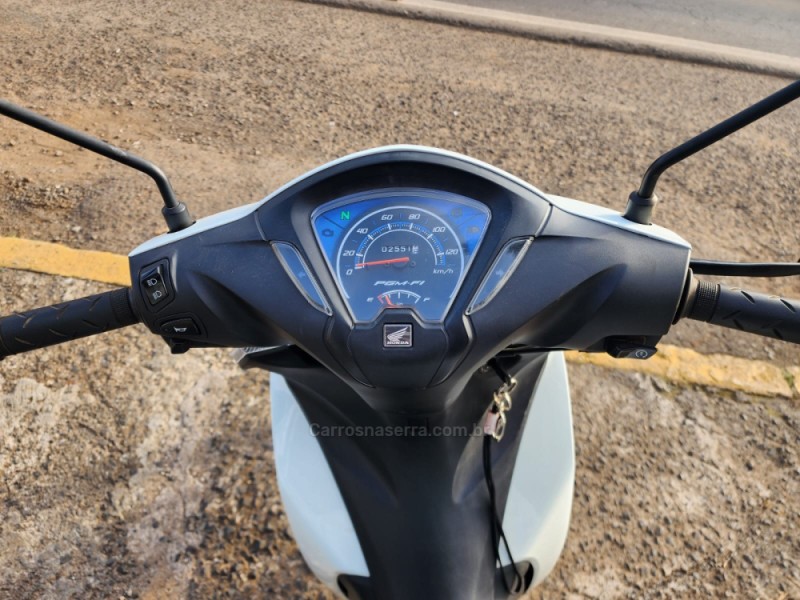 BIZ 110I  - 2019 - VACARIA