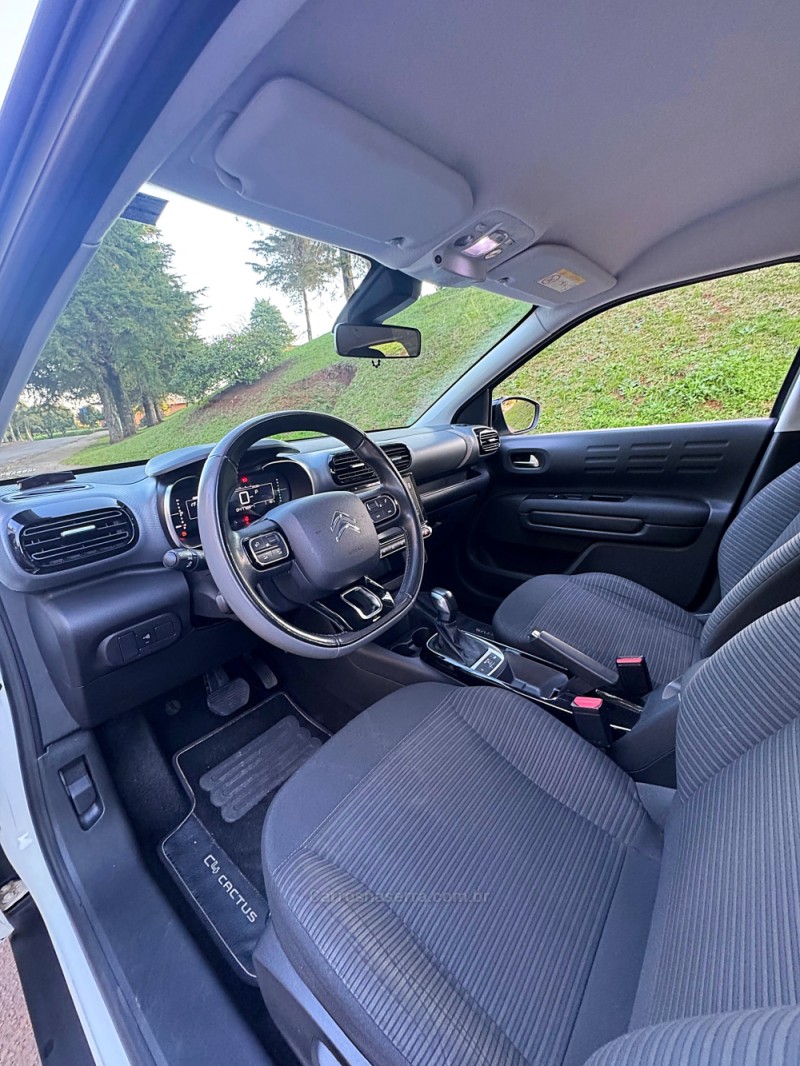 C4 CACTUS 1.6 VTI FEEL PACK FLEX 4P AUTOMATICO - 2019 - PASSO FUNDO