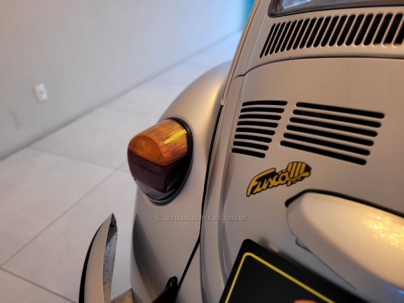 FUSCA 1.6 8V GASOLINA 2P MANUAL - 1996 - CANELA