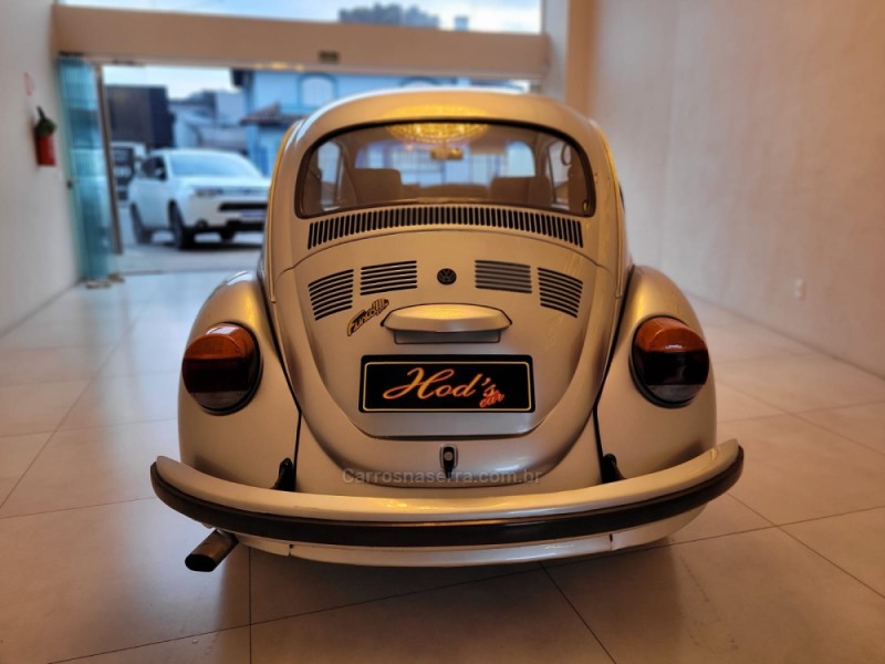 FUSCA 1.6 8V GASOLINA 2P MANUAL - 1996 - CANELA