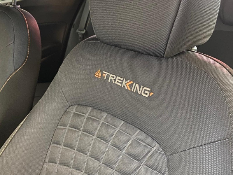 ARGO 1.3 FIREFLY TREKKING FLEX 4P MANUAL - 2020 - CAXIAS DO SUL
