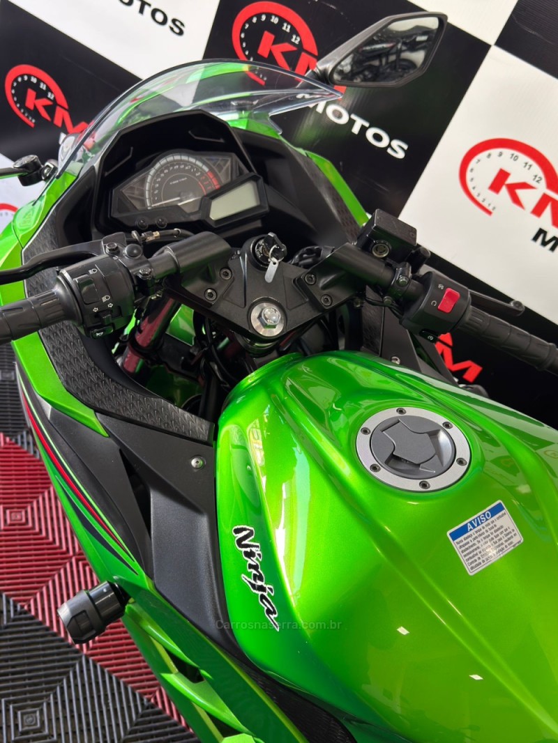 NINJA 300 ABS LIMITED EDITION - 2024 - PORTãO
