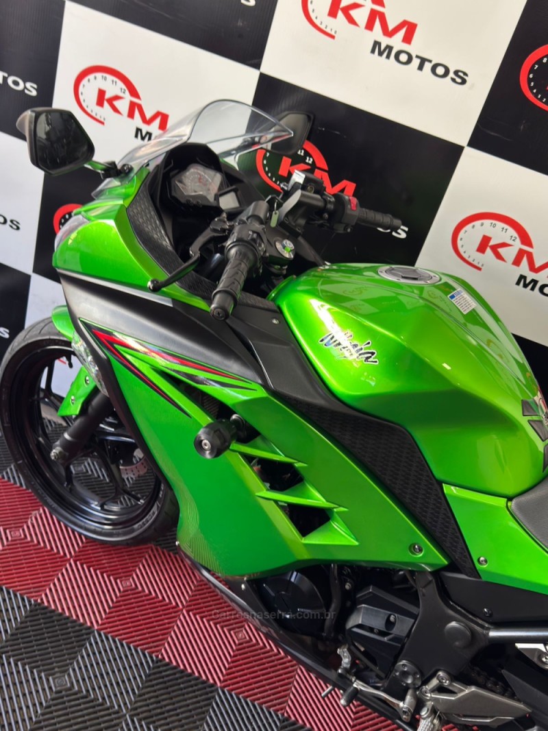 NINJA 300 ABS LIMITED EDITION - 2024 - PORTãO